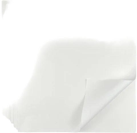 CAMKYDE Deli Paper Sheets